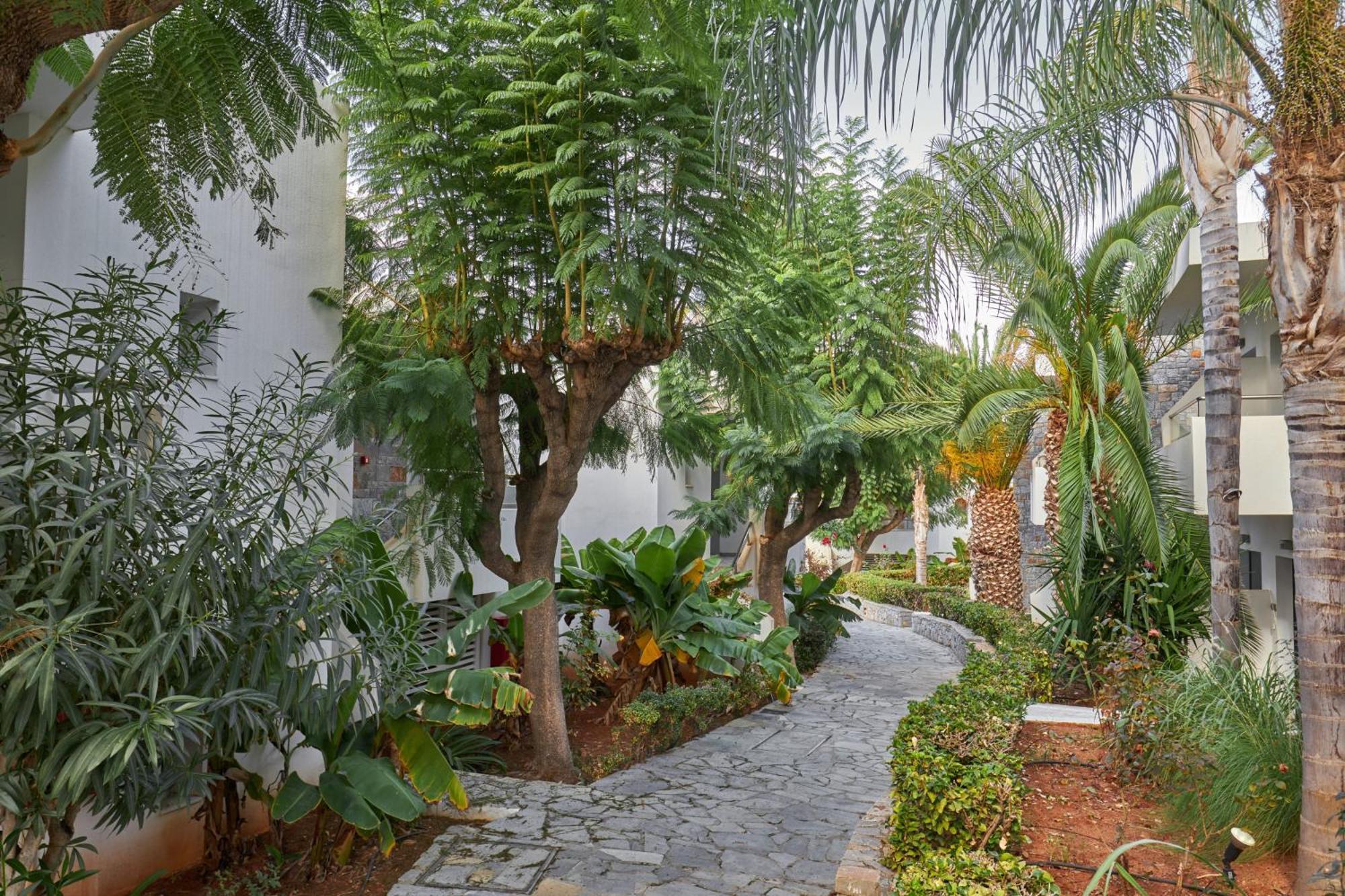Kyknos Beach Hotel & Bungalows Малія Екстер'єр фото