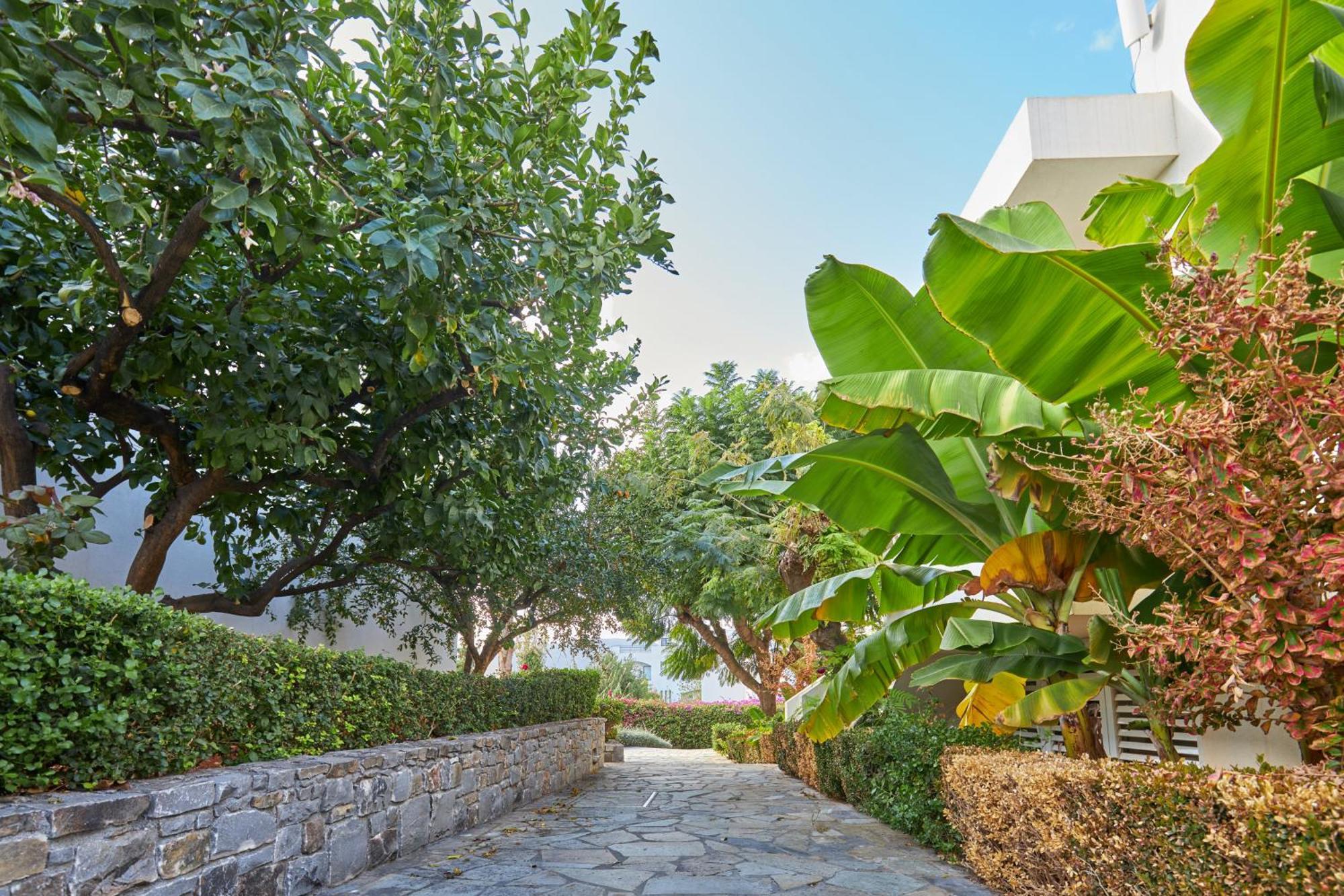 Kyknos Beach Hotel & Bungalows Малія Екстер'єр фото